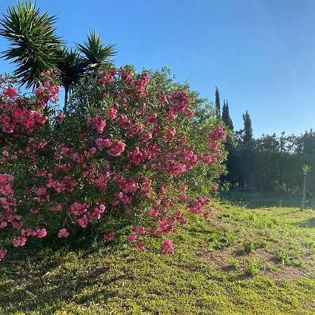Casa Donny 4* Alhaurín el Grande